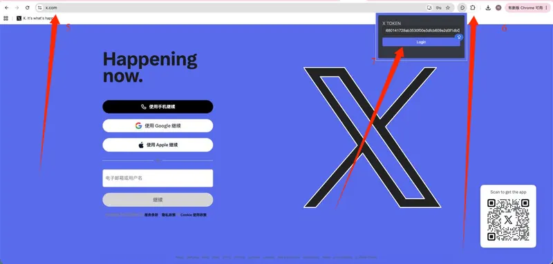 X-Twitter 谷歌浏览器使用Token （仅限电脑）